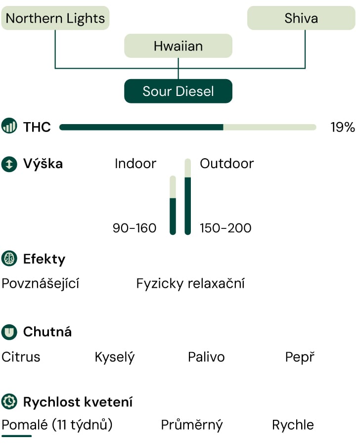 Sour Diesel Characteristics