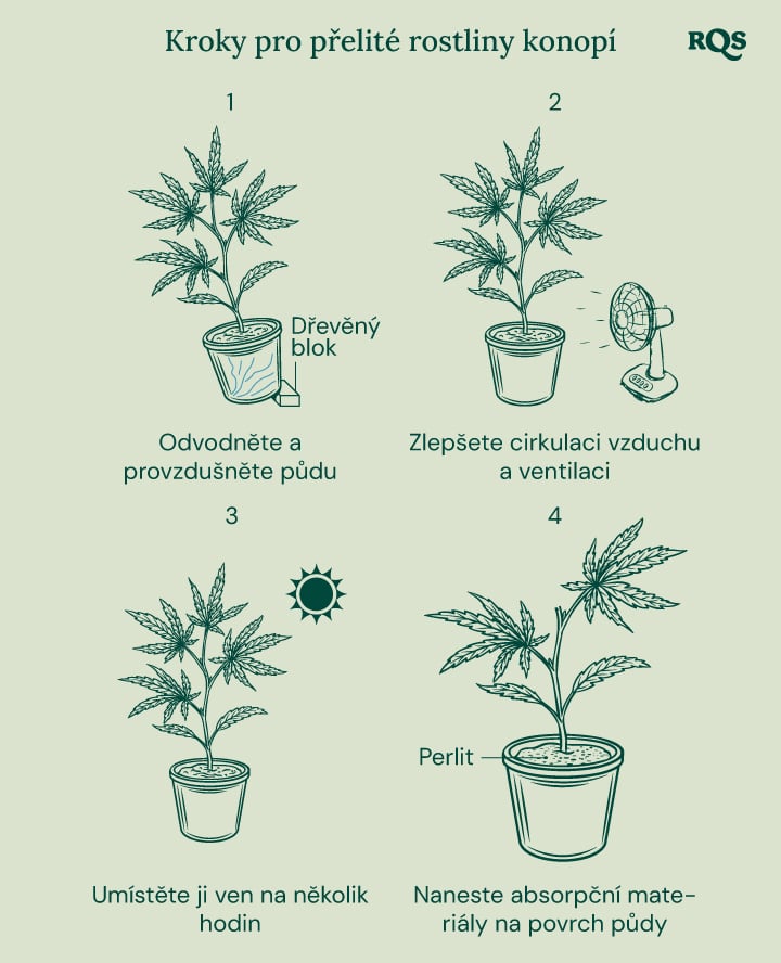 How to fix overwatered cannabis